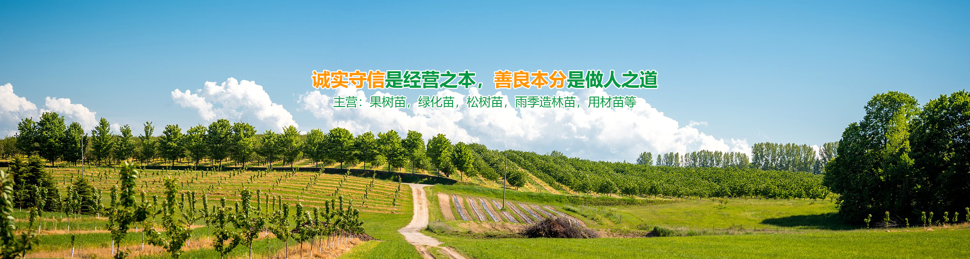 华体会网址
