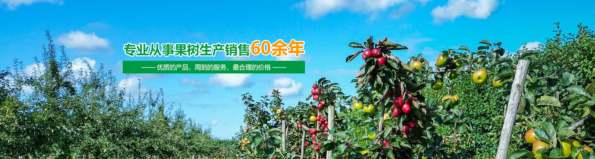 华体会官网