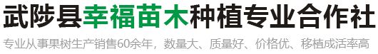 华体会下载