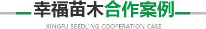 华体会下载