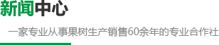 华体会官网