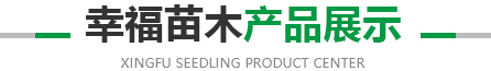 华体会下载